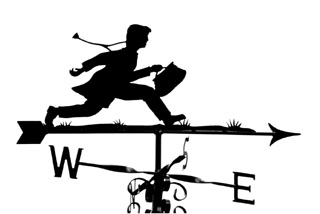 Doctor weather vane